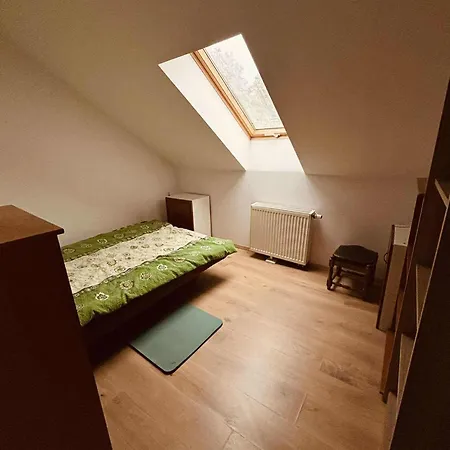 旅馆 Lesna Stacja Wieck